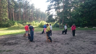 Suņu treniņi nodarbības apmācība