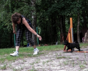 agility adžilitī suņu apmācības